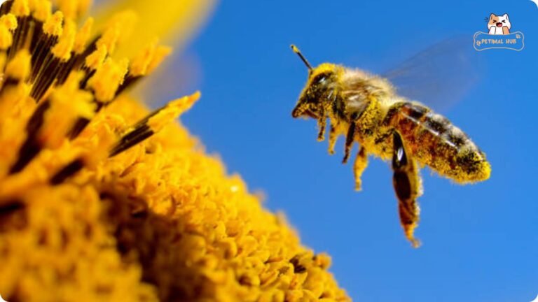 Read more about the article How Much Does a Bee Weigh?